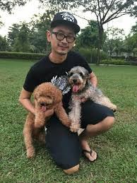 Private garden על ‪ara damansara park‬. Petaling Jaya Best Dog Walking Petaling Jaya Petbacker Ara Damansara Pet Services