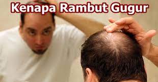 Makanan atasi punca rambut gugur. Punca Rambut Gugur Di Usia Muda Archives Pengedar Shaklee Shah Alam Pengedar Vivix Shaklee Shah Alam