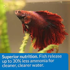 Api splendid betta complete water conditioner. Api Betta Food Fish Food Pellet 78 Ounce Container Buy Online In El Salvador At Elsalvador Desertcart Com Productid 23285196