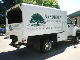 Treepro has been serving santa rosa, sebastopol. Sanborn Tree Vehicle 2300 6 Signarama