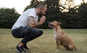 Photo Hirarchie homme/chien : ide reue ou vrit ?