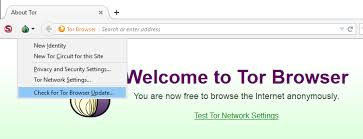 Tor is short for the onion router (thus the logo) and was initially a worldwide network of servers the tor network disguises your identity by encrypting your traffic and moving it across different tor relays within the network. Tor Browser For Windows Online Anonymity And Censorship Circumvention