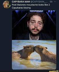 Capybara Man Capybara Post Malone Moustache Looks Like 2 Capybaras Kissing