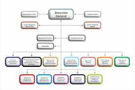 Comisión interinstitucional de la rama judicial comisión nacional del género despachos judiciales. Portal Intn Estructura Organica