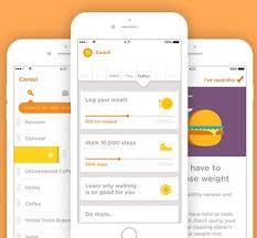 The designers really seem to have put a lot. Noom Raises 15m For Food Logging Activity Tracking Apps Mobihealthnews