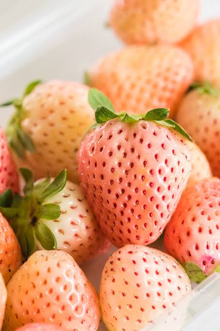 Pineberry