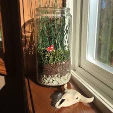 Terrarium Kit Forest Floor Savannah Ecosystem Terrariums Kits Terrarium Perfect Garden