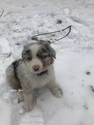 Happy Valentine's Day! Junior was around 12 weeks here