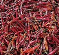 Koyue Intelligent Color Sorter: Red Chili to Premium Spicy ...