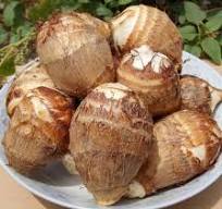 FROZEN TARO ROOT/ PREMIUM FRESH FROZEN TARO/ HIGH-QUALITY TARO FROM VIETNAM
