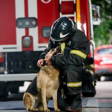 Auf diese tradition mussten wir leider heuer. Mitreissende Feuerwehr Rede So Zeigen Sie Einsatz Redenwelt