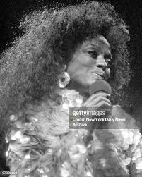 27 Diana Roca Stock Photos, High-Res Pictures, and Images