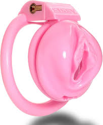 Fredorch Pussy Vaginal Chastity Devices Cage Small Male Bondage Cock Cage  Slave Penis Ring Sex Shop 18+ Gay Ladyboy Sex Toy for Men (small) :  Amazon.ca: Health & Personal Care