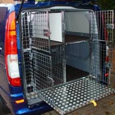 Image result for Jasper Blue 2016 Vito