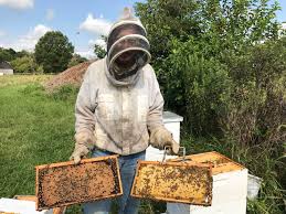 Honey is one of nature's most delicious natural treats. Pr William Beekeeper Uses Contractor Skills To Rescue The Insects The Washington Post