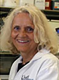 The International Ceramide Conference: Program