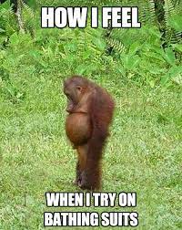 Funny Swimsuit Quotes Quotesgram