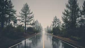 يتم دعم أنواع مختلفة من الخلفيات المتحركة ، بما في ذلك. Download Free Rain Wallpapers I M A Pluviophile