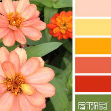 Color Palette Green Peach Yellow Coral If You Like Our Color Inspiration Sign Up For Our Monthly Trend Lett Color Palette Color Blending Color Inspiration