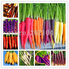 Uquiz.com is a free online quiz making tool. Beetlejuice Youtube What Color Is A Carrot