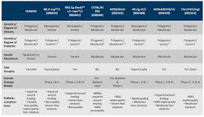 Choosing Among Type Ii Diabetes Mouse Models