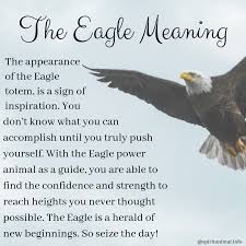 The Eagle Meaning In 2020 Eagles Quotes Eagle Meant To Be