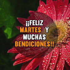 Check spelling or type a new query. Imagenes Con Frases Motivadoras Para Desear Feliz Martes Mejores Imagenes