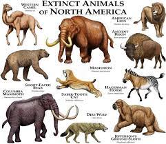 Extinct Mammals Of North America Poster Print Etsy Extinct Animals Ancient Animals Animals