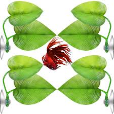 Best betta b&bs on tripadvisor: 4 Pieces Betta Bed Leaf Hammock For Betta Fish Lightweight And Realistic Resting Spot No Bpa Practical Comfortable And Safe Double Leaf Buy Online In Maldives At Maldives Desertcart Com Productid 176539035