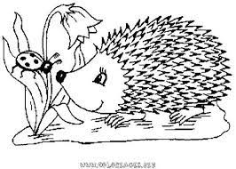 118 dessins de coloriage herisson a imprimer maja abeille gratuit pour impression