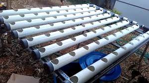 Instalasi Hidroponik Nft Atau Dft Paralon Pvc Youtube Hidroponik Perlengkapan Berkebun Pekarangan
