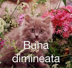 O saptamana frumoasa si plina de soare in suflet sa aveti. Eu Adolescentul Page 4