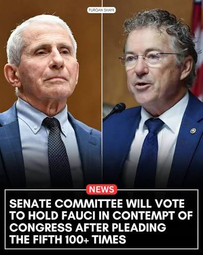 FAUCI HELD IN CONTEMPT: Sen. Rand Paul is speaking out after a Senate  committee voted to hold Dr. Anthony Fauci in contempt of Congress following  Fauci's decision to invoke the Fifth Amendment