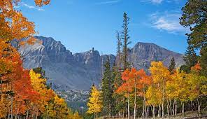 We did not find results for: Great Basin National Park Camping Hiking Tours Travel Nevada