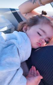 The seven stars of **Ursa Major**, aka the "Big Dipper", "the Wagon", "the  Plough", and other names