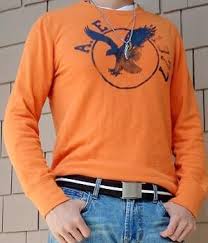 American Eagle Outfitters Orange T Shirt Men S Fashion For Less Orange T Shirts Men Shirt Style Long Sleeve Tshirt Men