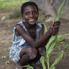 Donate To Help Children In Zimbabwe | Save The Children