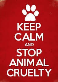 Keep Calm And Stop Animal Cruelty Stop Animal Cruelty Keep Calm Animal Cruelty