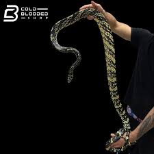 Image result for Spilotes pullatus