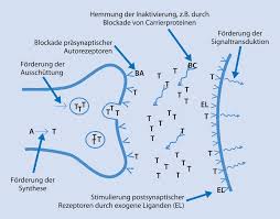 Psychopharmakologische Grundlagen Springerlink