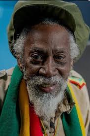 How can I contact Asadenaki, the son of Bunny Wailer, for a story about him?