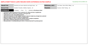 remittance clerk resume sample