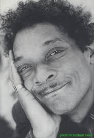 Illustrated Hubert Sumlin discography