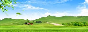 清新 綠色 草原 藍天背景 blue sky background background ecology