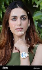 Leone doro hi-res stock photography and images