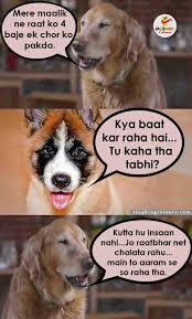 Pin By Rizwan Khan On For Fun Dogs Animals Fun
