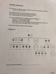 If clear, he has normal blood clotting. Pedigree Worksheet The Following 3 Pedigrees Show Chegg Com