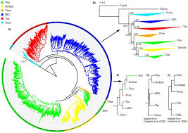 Deeds/grown ups/here comes the boom/just go with it/paul blart: Bel Pao Retrotransposons In Metazoan Genomes Bmc Ecology And Evolution Full Text