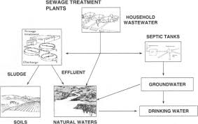Cleanliness An Overview Sciencedirect Topics