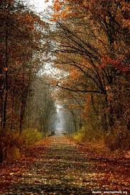 Maybe you would like to learn more about one of these? 12 Most Popular Illinois State Parks To Visit In Autumn Lindas Paisagens Natureza Paisagens